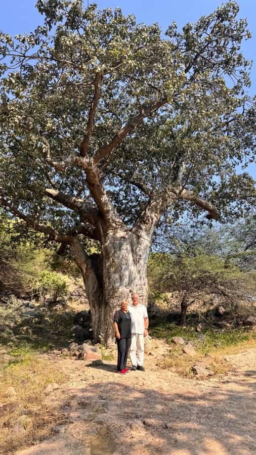 Salalah East Tour: Taqah , Darbat waterfall,camel's baobab - What the guide adds to the day