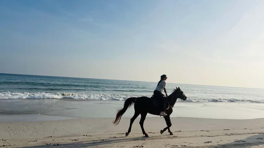 Salalah: Horse Riding by the Beach - How the Salalah pickup works