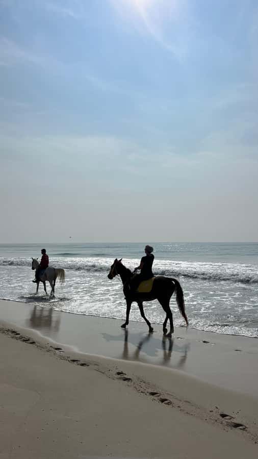 Salalah: Horse Riding by the Beach - What the guide and small group add