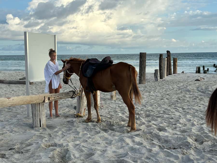 Salalah Horse Riding on the Beach optional Hotel Pick & Drop - Key points to know before you book
