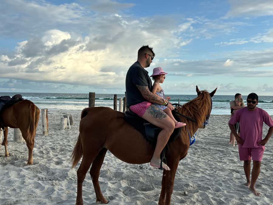 Salalah Horse Riding on the Beach optional Hotel Pick & Drop - Riding Salalah’s beach at sunset