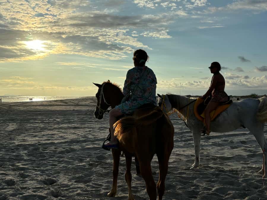 Salalah Horse Riding on the Beach optional Hotel Pick & Drop - What the ride feels like for first-time riders
