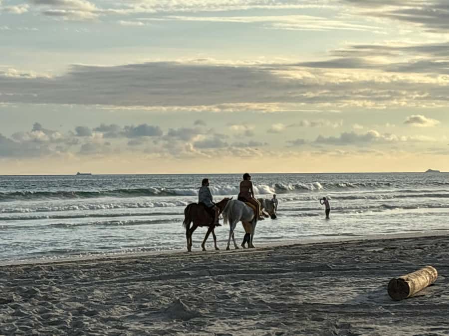 Salalah Horse Riding on the Beach optional Hotel Pick & Drop - A good choice for families