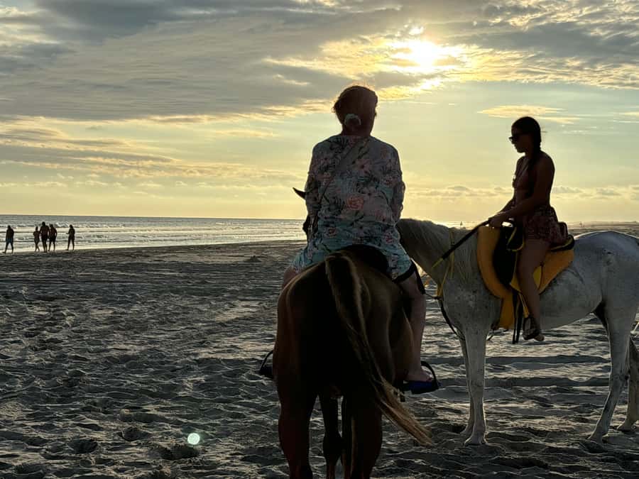 Salalah Horse Riding on the Beach optional Hotel Pick & Drop - Hotel pickup or your own way to the beach