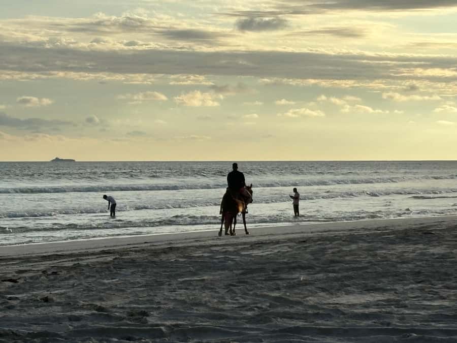 Salalah Horse Riding on the Beach optional Hotel Pick & Drop - What the strongest feedback tells me