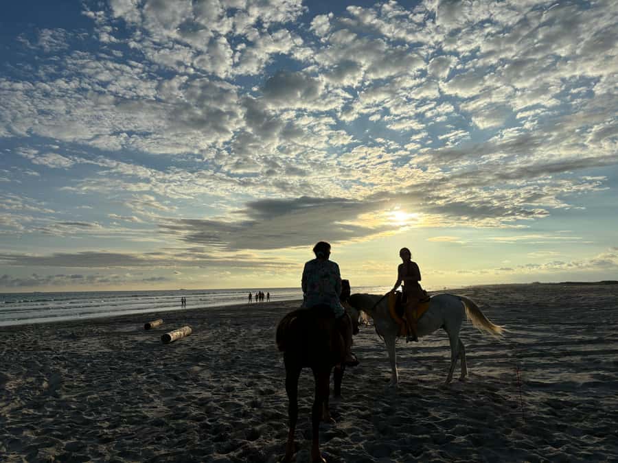 Salalah Horse Riding on the Beach optional Hotel Pick & Drop - How to prepare for a comfortable ride