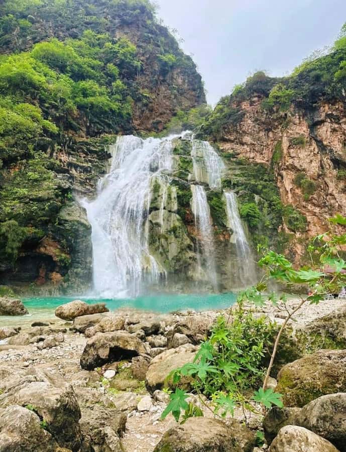 Salalah: Wadi Darbat, ,Teeq Cave - Baobou Trees Tour - Key points to know before booking