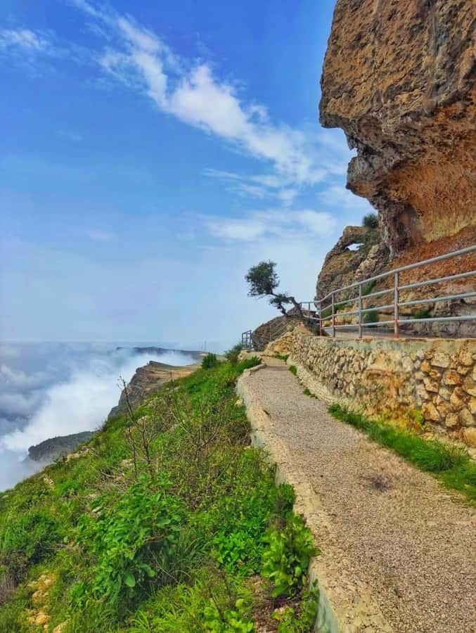Salalah: Wadi Darbat, ,Teeq Cave - Baobou Trees Tour - How much value does $121 provide?