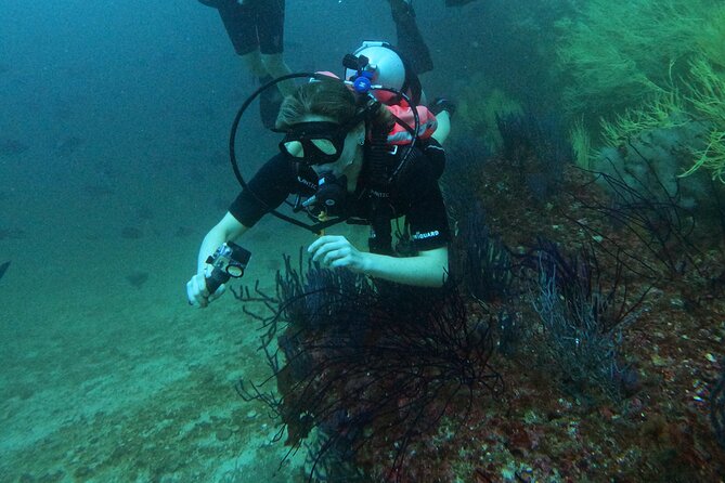Scuba Diving Adventure in Musandam, Oman - The first underwater session, up to 60 minutes