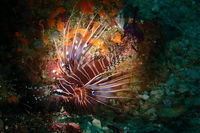 Scuba Diving Adventure in Musandam, Oman - Between sessions, snacks and a useful reset