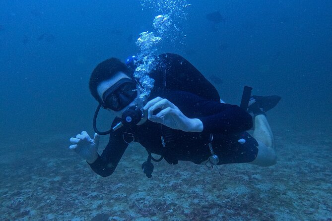Scuba Diving Adventure in Musandam, Oman - The second site and the value of variety