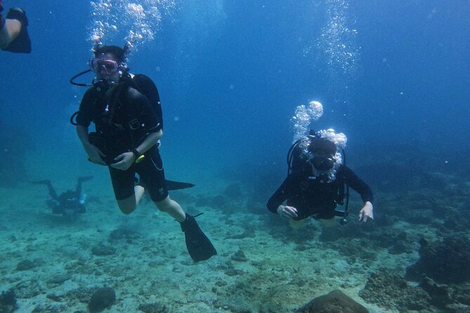 Scuba Diving Adventure in Musandam, Oman - Is $153.52 a fair price?