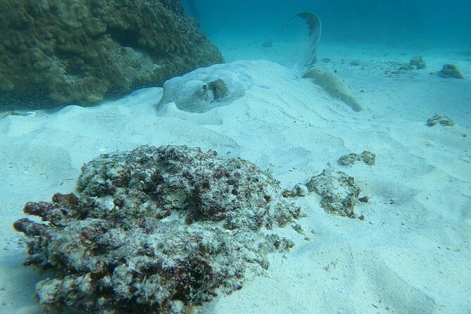 Scuba Diving in muscat - The boat ride is part of the experience
