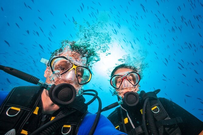 Scuba Diving to Dimaniyat Islands Muscat Oman - What the boat and crew add