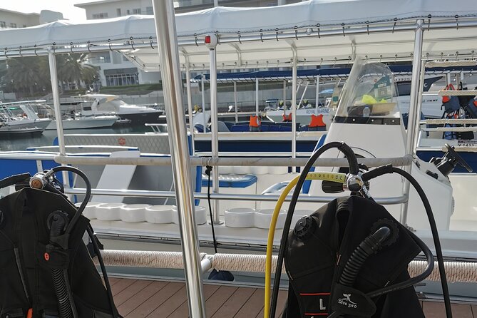 Scuba Diving Trips to Dimaniyat Islands - Who Will Like This Trip Most