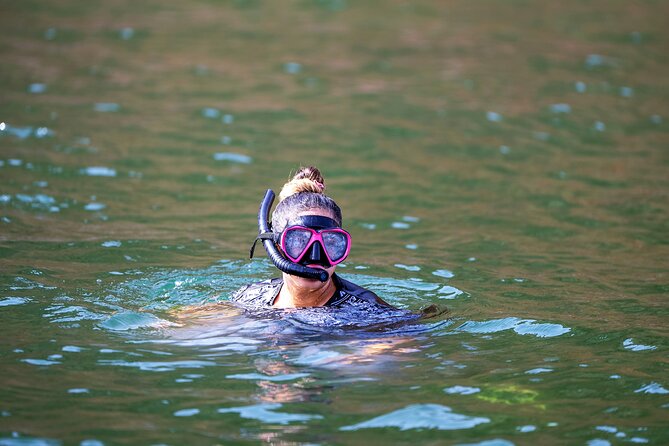Sea Wonders Dolphin Watching and Snorkeling in Muscat - Dolphins first, then an Arabian Sea swim