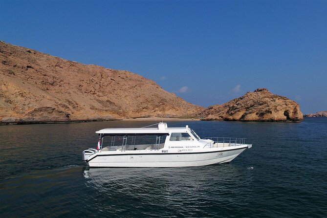 Sea Wonders Dolphin Watching and Snorkeling in Muscat - The practical limits of a wildlife trip