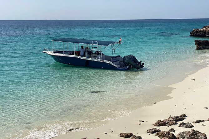 Snorkeling Adventure to Daymaniat Islands - Is $110 a fair price?