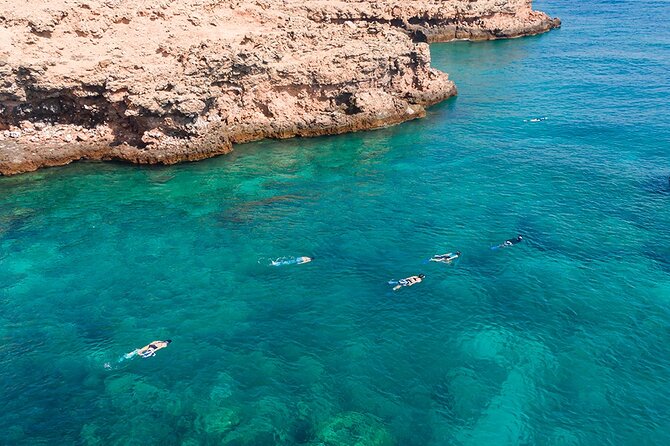 Snorkeling Adventure to Daymaniat Islands - Practical details before you reserve