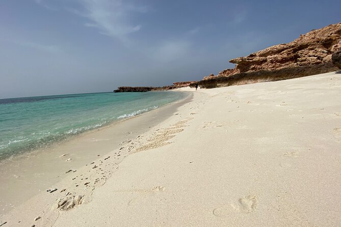 Snorkeling at Dimaniyat Islands and Dolphin Watching - The boat ride and the search for marine life