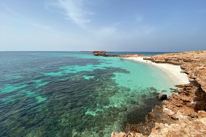 Snorkeling at Dimaniyat Islands and Dolphin Watching - Snorkeling with turtles, fish, and reef sharks
