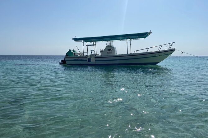 Snorkeling at Dimaniyat Islands and Dolphin Watching - Beach time and the pace of the outing