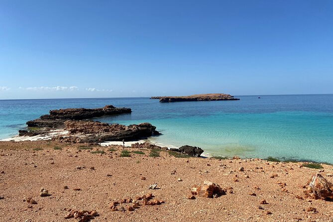 Snorkeling at Dimaniyat Islands and Dolphin Watching - Is $87 a fair price?