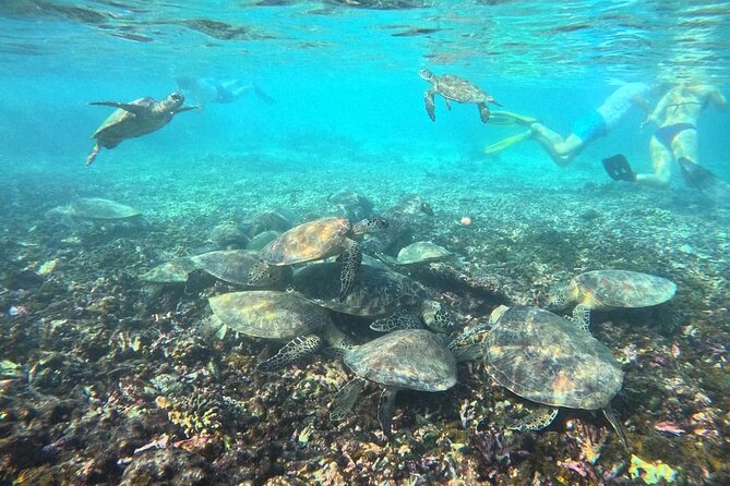 Snorkeling Experience at Ad Daymaniyat Islands in Muscat - Who will enjoy it most