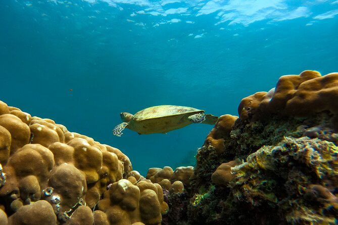 Snorkeling Experience at Ad Daymaniyat Islands in Muscat - Leaving Seeb Port for the islands