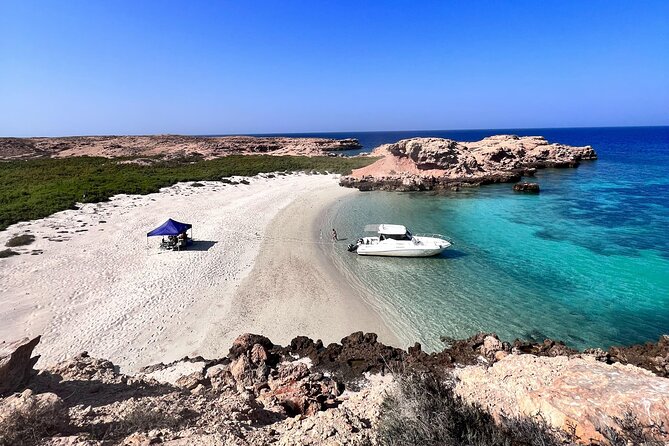 Snorkeling in Daymaniat Island - Starting at 9:00 am from Al Mouj Marina
