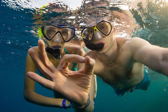 Snorkeling trips to Daymaniat Islands Sharing Trip - Why the islands are protected