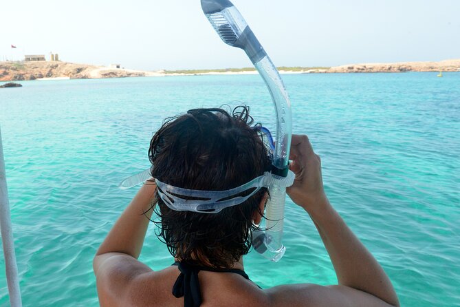 Snorkeling trips to Daymaniat Islands Sharing Trip - Wildlife beyond the turtles