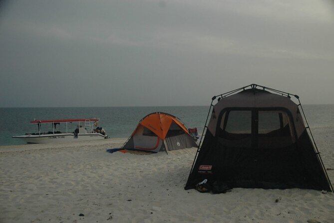 Snorkeling trips to Daymaniat Islands Sharing Trip - What the crew adds to the day