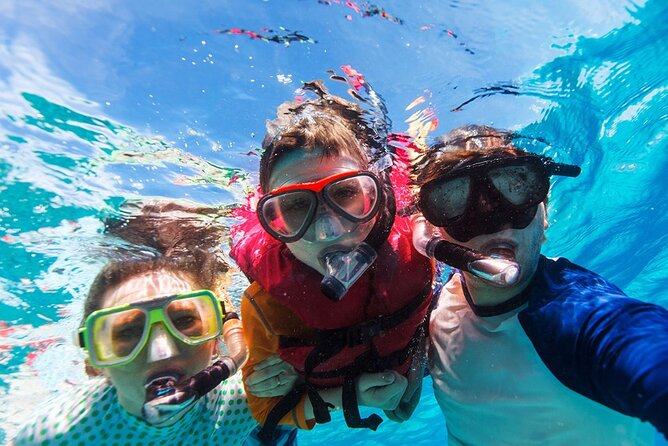 Snorkeling trips to Daymaniat Islands Sharing Trip - Gear, snacks, and time in the water