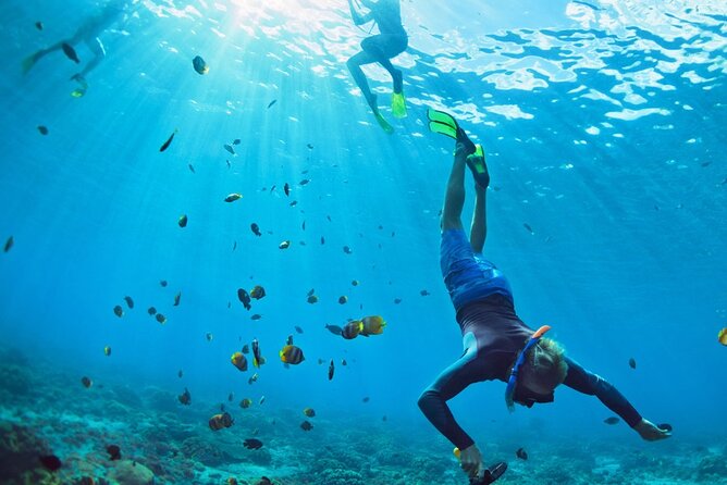 Snorkeling trips to Daymaniat Islands Sharing Trip - Price and what you receive for $75.05