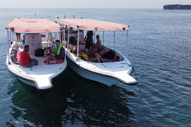 Snorkeling trips to Daymaniat Islands Sharing Trip - Snorkeling among turtles and coral