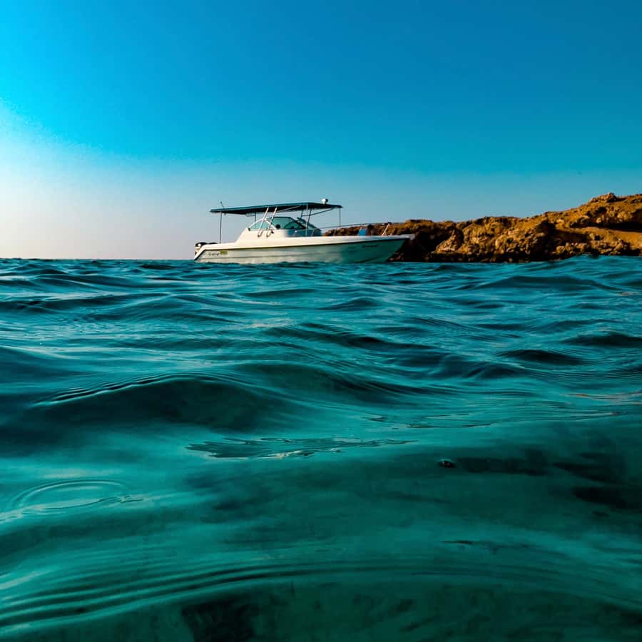 Snorkeling with turtles at Ad Daymaniyat Islands - What makes this snorkeling trip worth considering