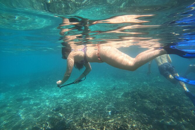 Snorkelling tours to Daymaniyat island - Key points to know before you book