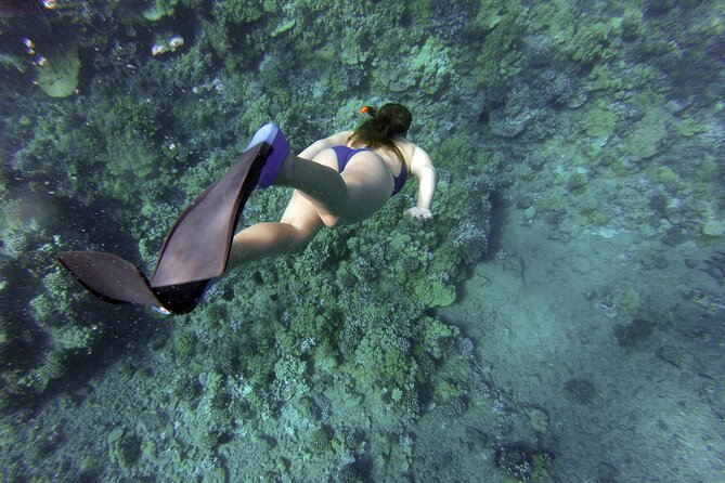 Snorkelling tours to Daymaniyat island - Meeting the boat at Seeb Marina