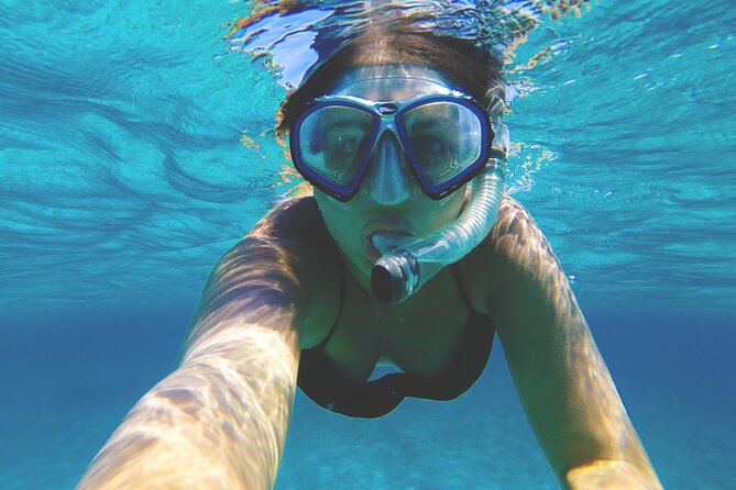 Snorkelling tours to Daymaniyat island - Second snorkelling stop: useful variety, mixed conditions