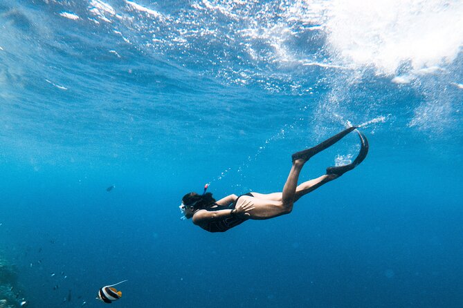 Snorkelling tours to Daymaniyat island - Island beaches for swimmers and non-swimmers