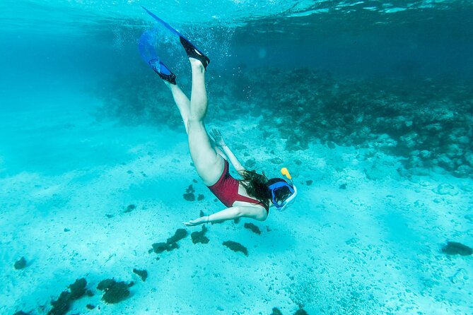 Snorkelling tours to Daymaniyat island - How the crew affects the day