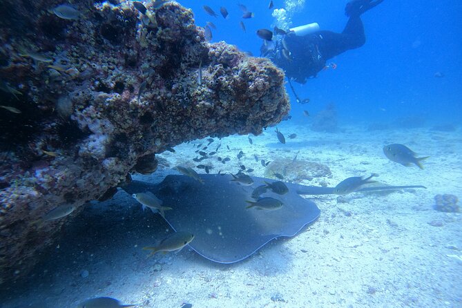 Snorkelling tours to Daymaniyat island - What the 4.5-hour boat trip feels like