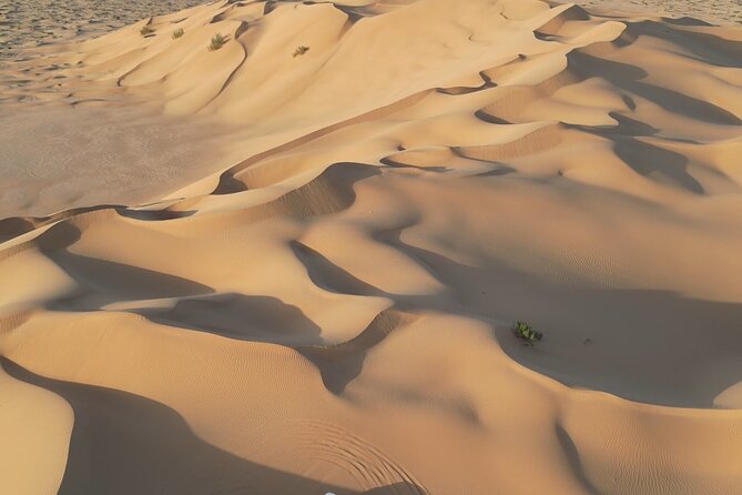 Sunset desert safari Salalah with Dinner in a Bedouins camp - The Empty Quarter before sunset