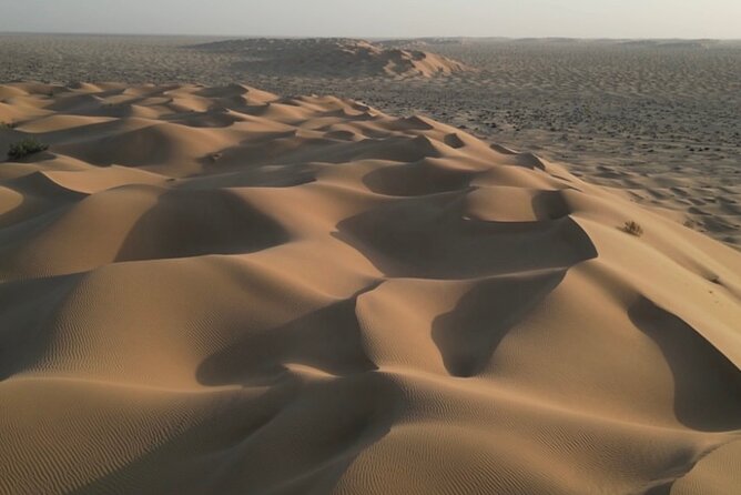 Sunset desert safari Salalah with Dinner in a Bedouins camp - Who will enjoy this eight-hour outing?