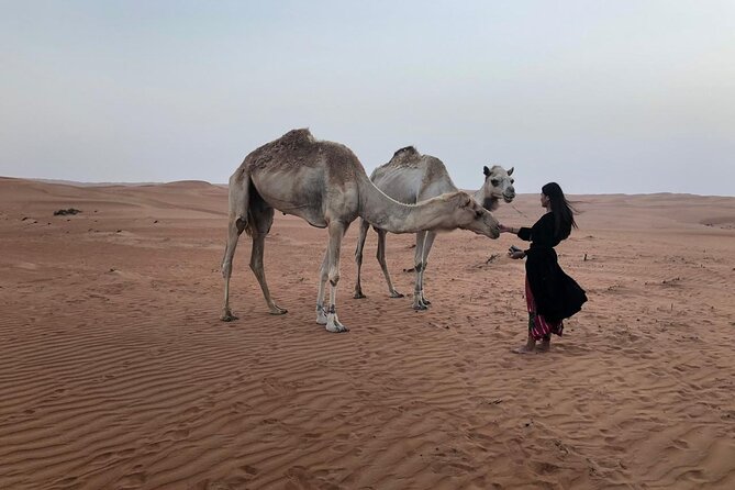 Tour Jawahir 2 Days-1 Night In Wahiba Sands, Oman Tours Package - Key points at a glance