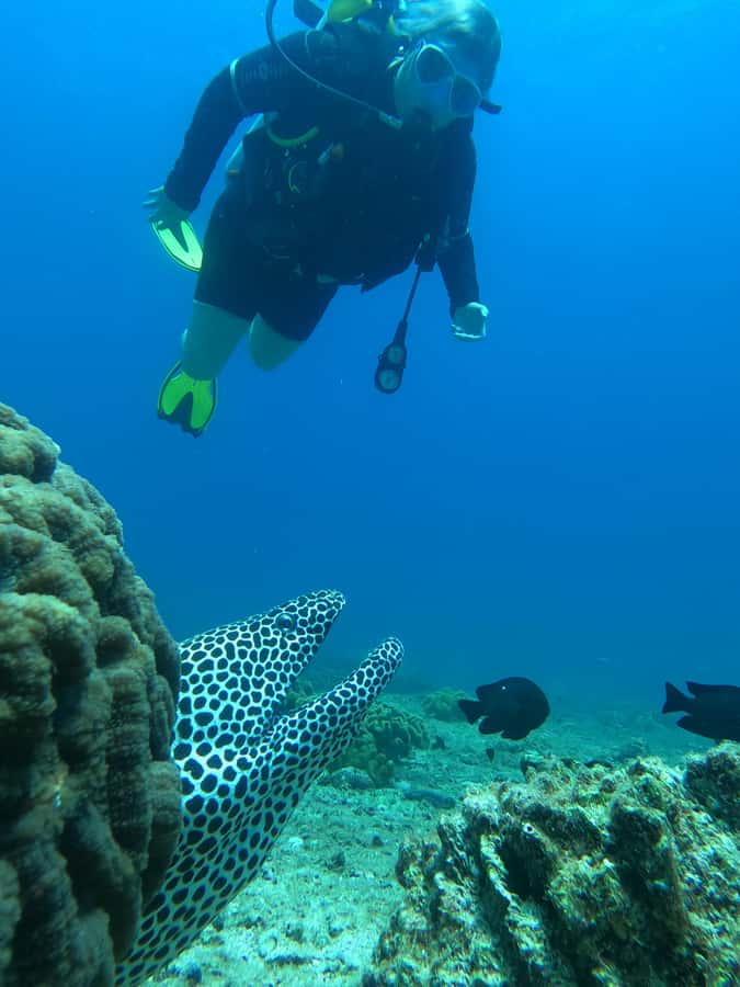 Try scuba Diving Tours To Daymaniyat Islands. - What the beginner program actually includes