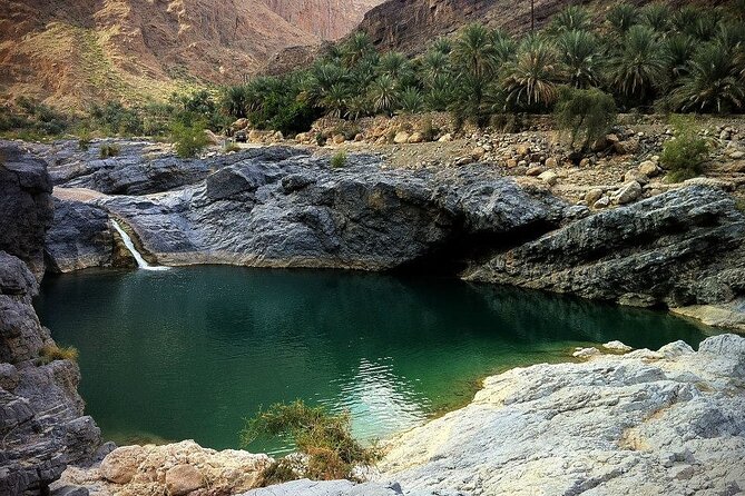 Wadi Al Arbeieen Sinkhole & Fins Beach Swim & Hike - Three hours among pools, palms, and cliffs