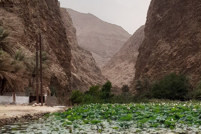 Wadi Shab Expedition - Why Wadi Shab deserves the long day from Muscat