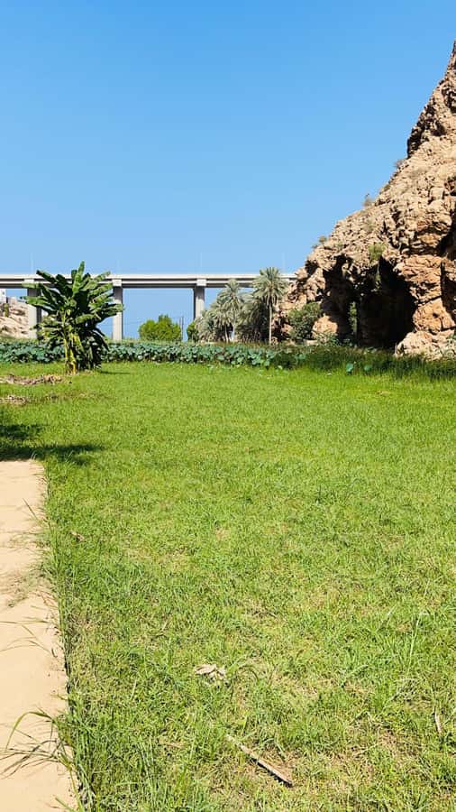 Wadi Shab Parking Meet the Local Guide for Self drivers - Why Wadi Shab’s cave waterfall is the main event